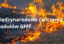 Międzynarodowe ćwiczenia modułów GFFF