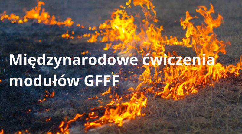 Międzynarodowe ćwiczenia modułów GFFF